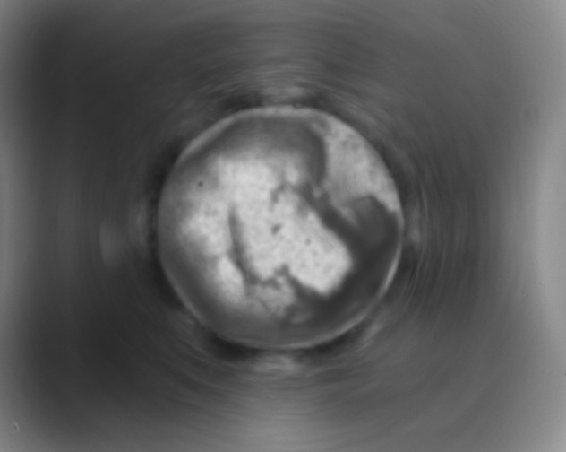 X0000088730519200706282126