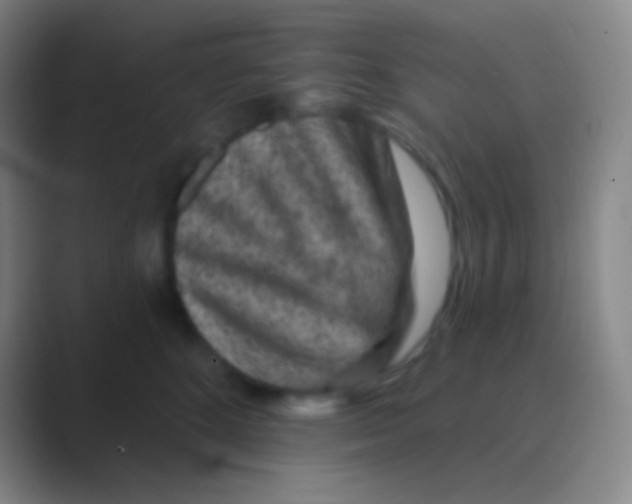 X0000088730520200706282126