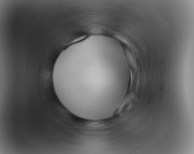 X0000088730521200706282126