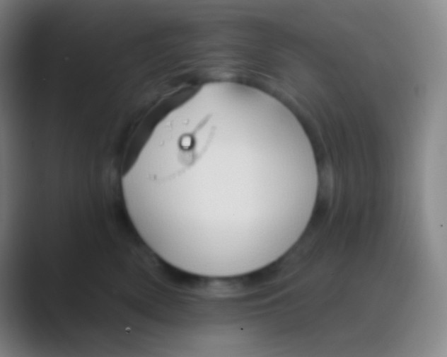 X0000088730522200706282126