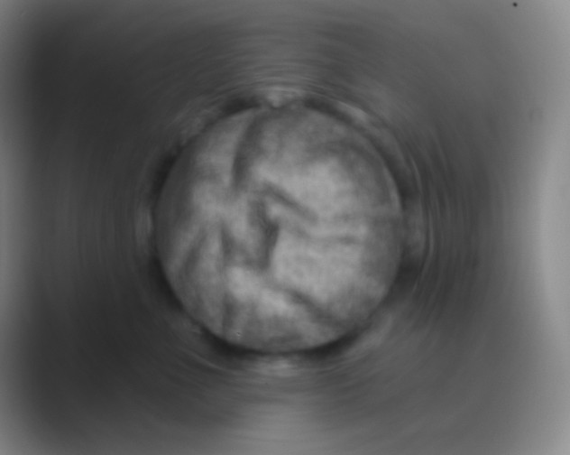 X0000088730523200706282126