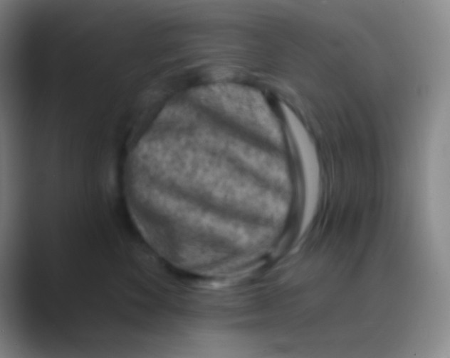 X0000088730524200706282126