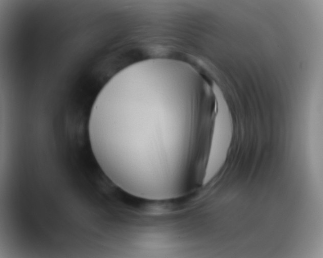 X0000088730525200706282126