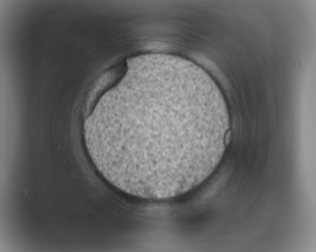 X0000088730529200706282126