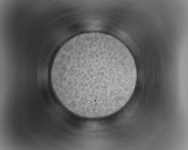 X0000088730534200706282126