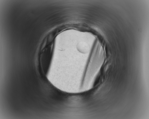 X0000088730536200706282126