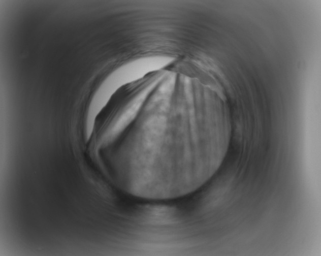 X0000088730539200706282126