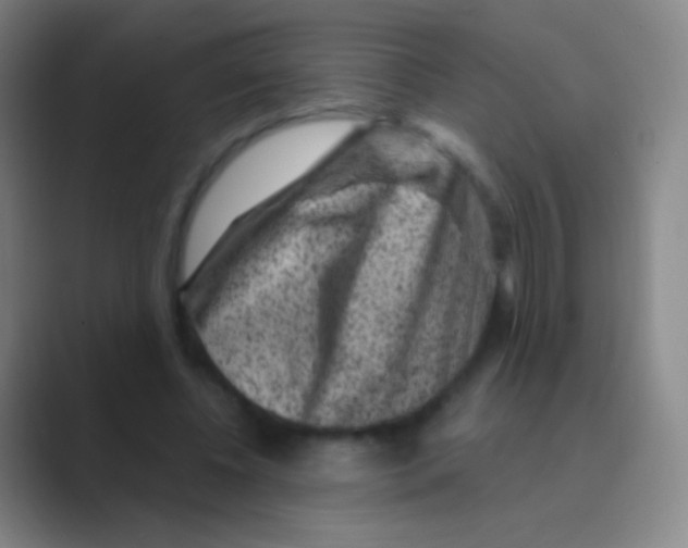 X0000088730540200706282126