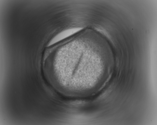 X0000088730542200706282126