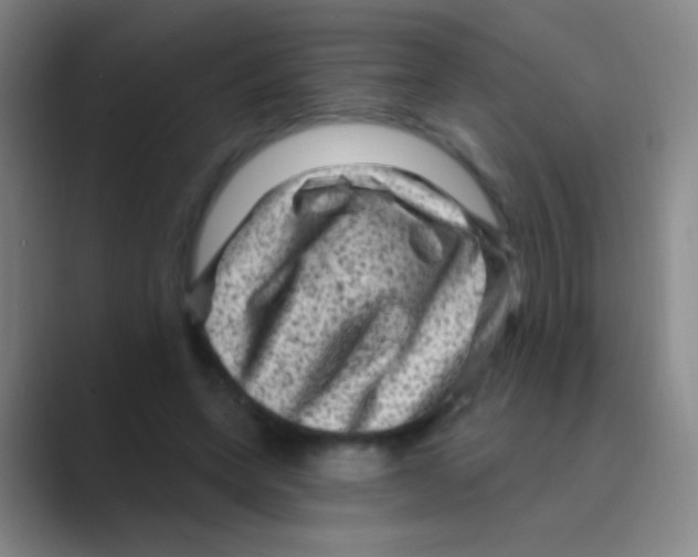 X0000088730543200706282126