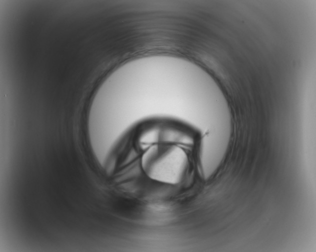 X0000088730544200706282126