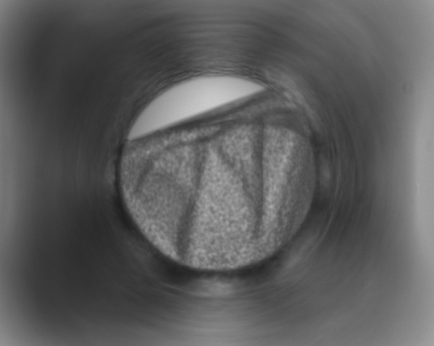 X0000088730545200706282126