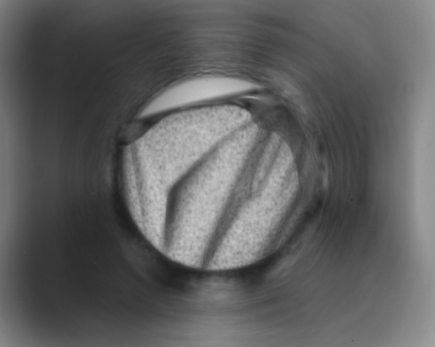 X0000088730546200706282126