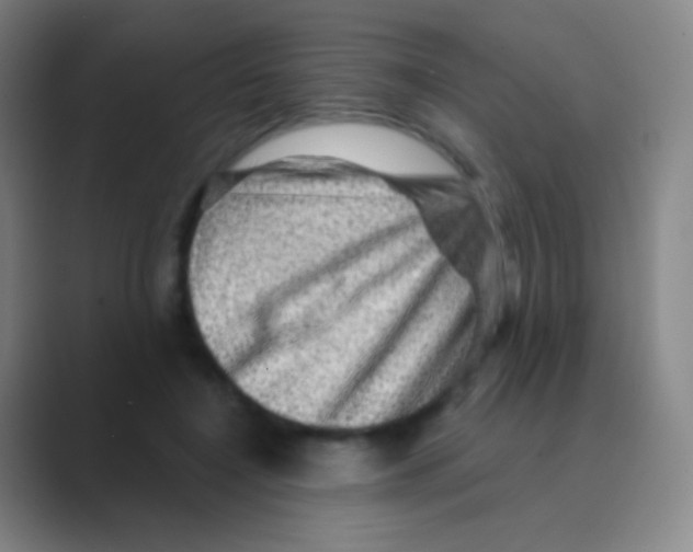 X0000088730548200706282126