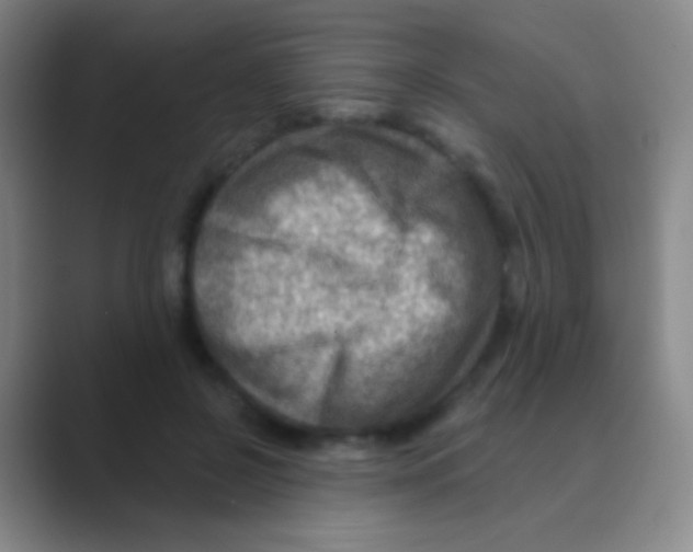 X0000088730550200706282126