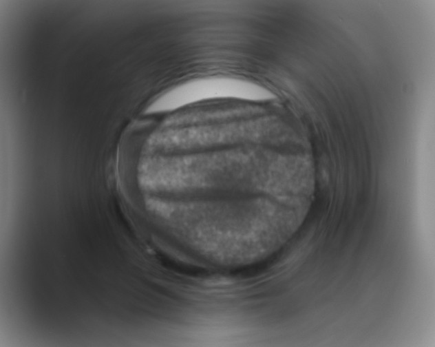 X0000088730551200706282126