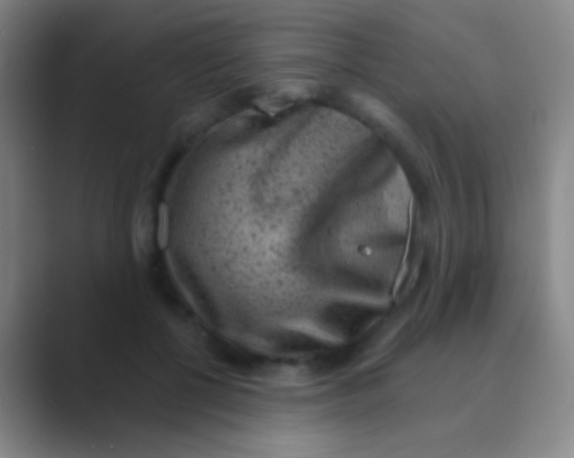 X0000088730552200706282126