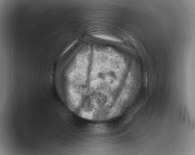 X0000088730553200706282126