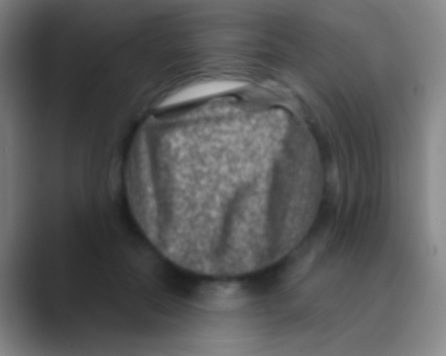 X0000088730554200706282126