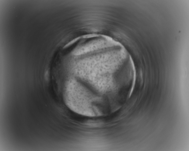 X0000088730556200706282126