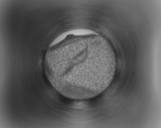 X0000088730557200706282126