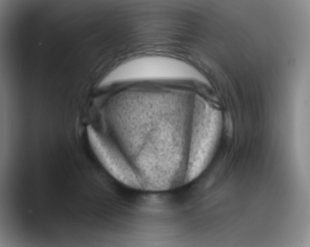 X0000088730558200706282126