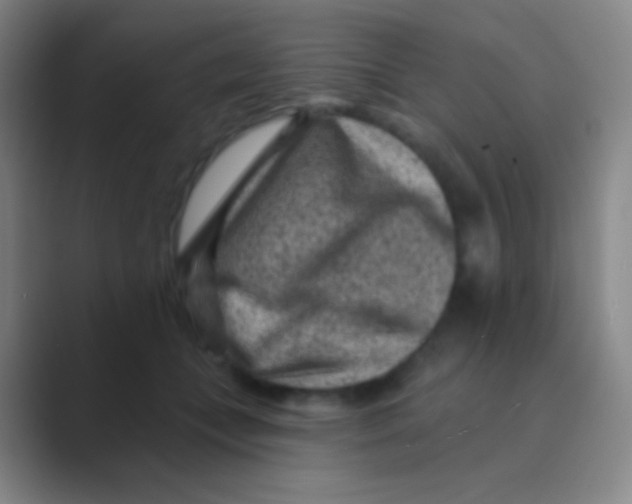 X0000088730559200706282126