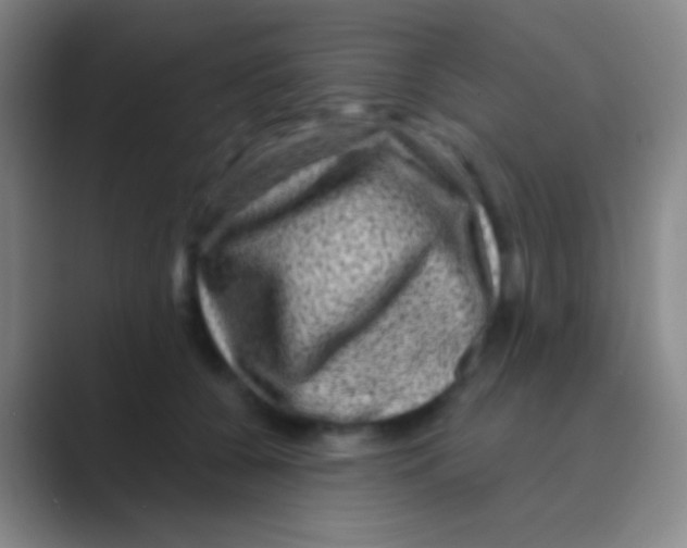 X0000088730560200706282126