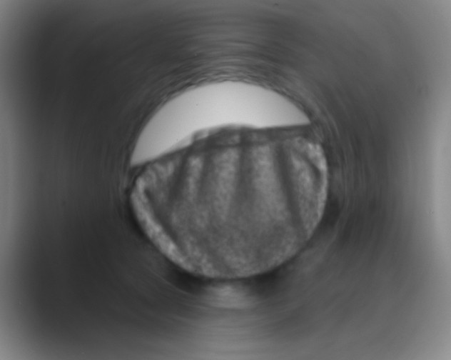 X0000088730561200706282126