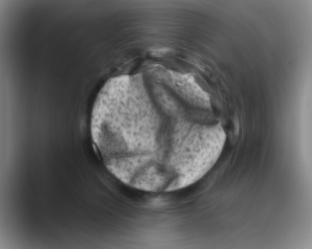 X0000088730564200706282126