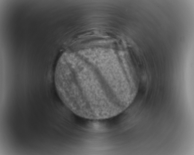 X0000088730565200706282126