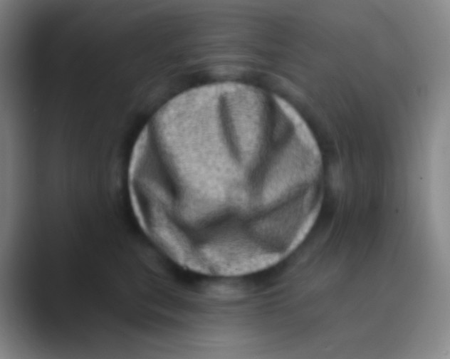 X0000088730567200706282126