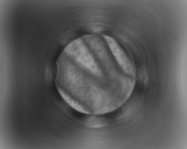 X0000088730568200706282126