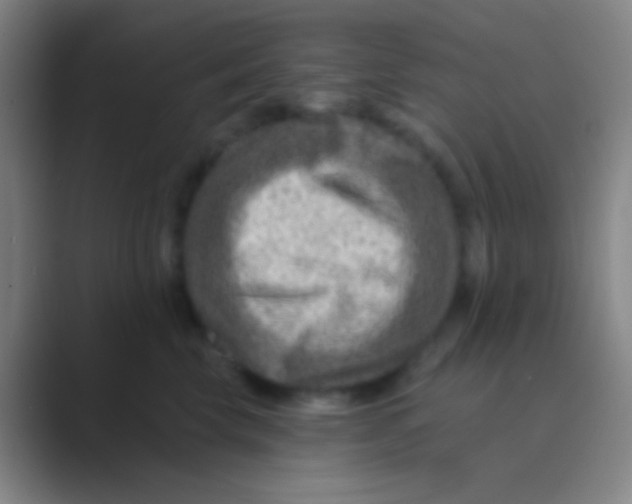 X0000088730569200706282126