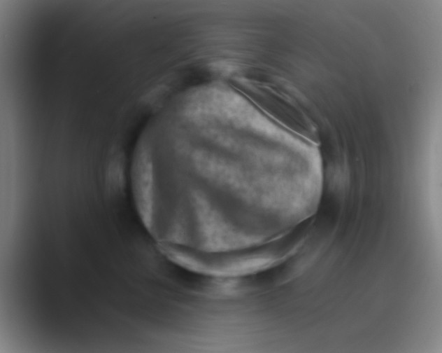 X0000088730570200706282126