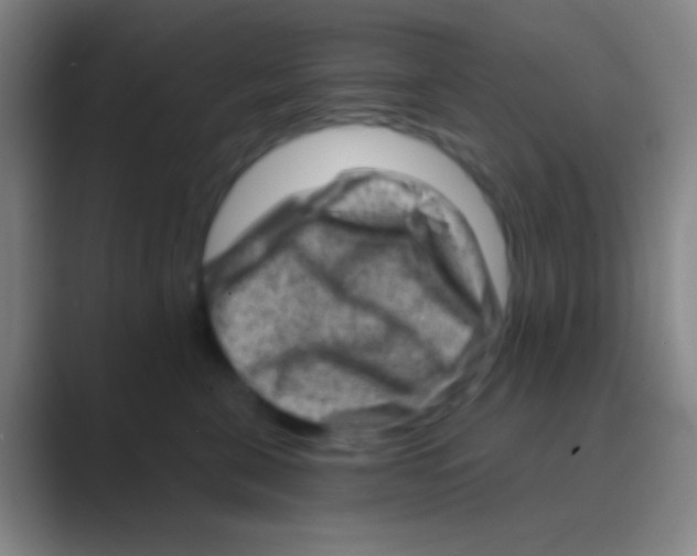 X0000088730571200706282126