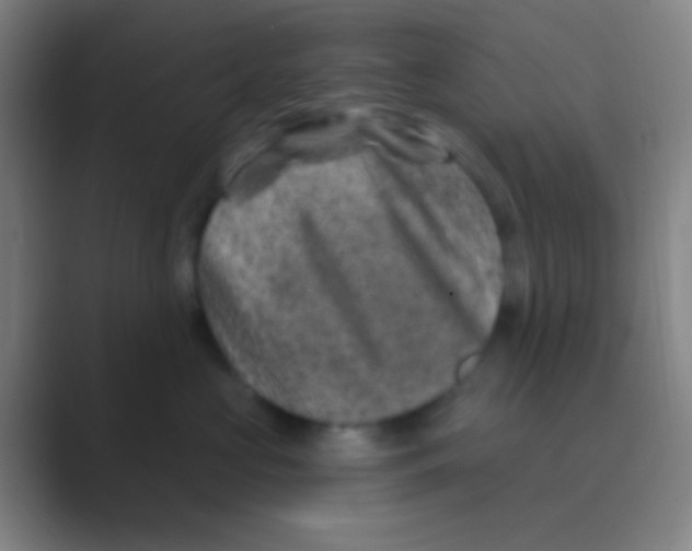 X0000088730573200706282126