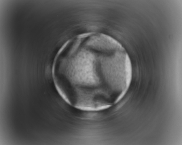 X0000088730575200706282126