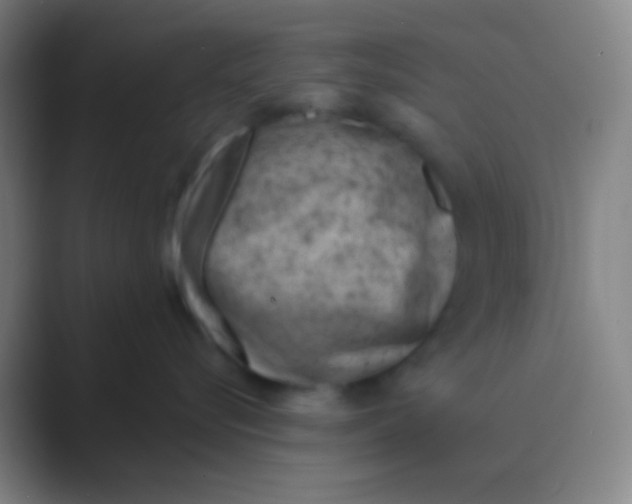 X0000088730576200706282126