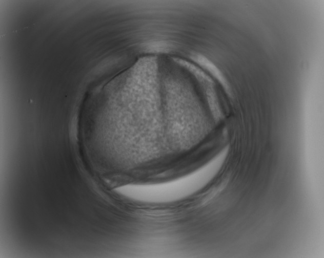 X0000088730581200706282126