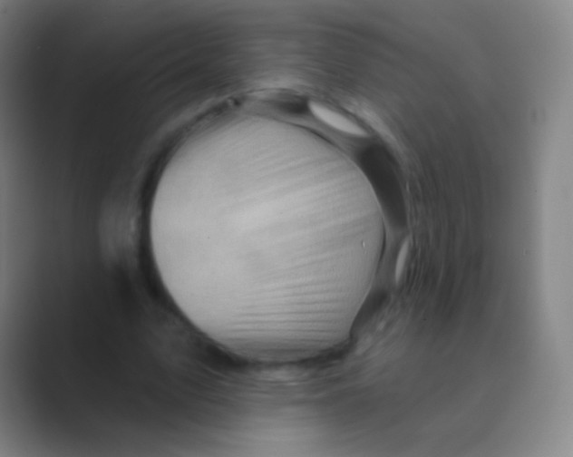 X0000088730583200706282126