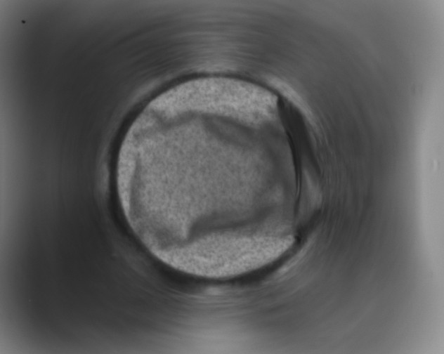 X0000088730584200706282125