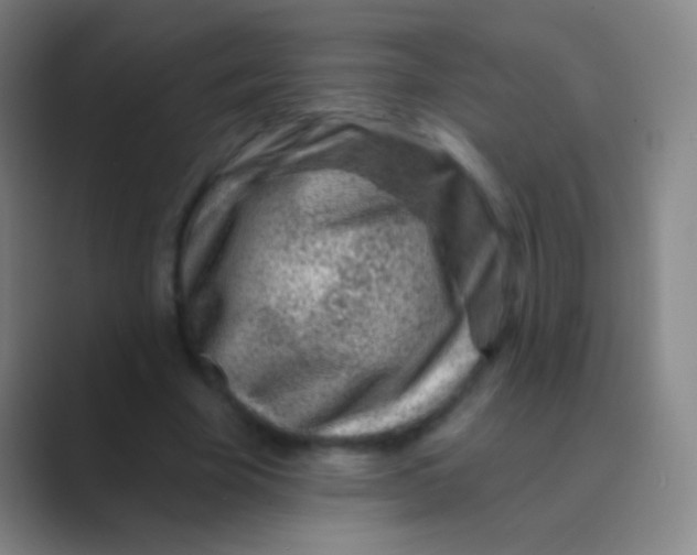 X0000088730585200706282125