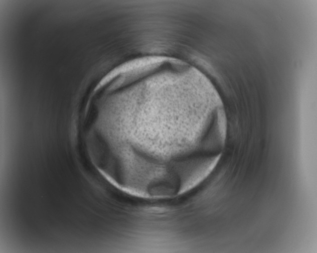 X0000088730586200706282125