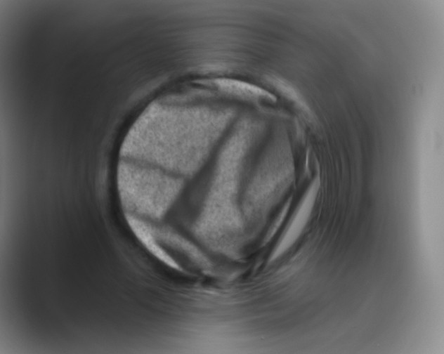 X0000088730588200706282125