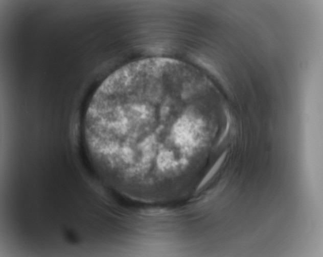 X0000088730590200706282125