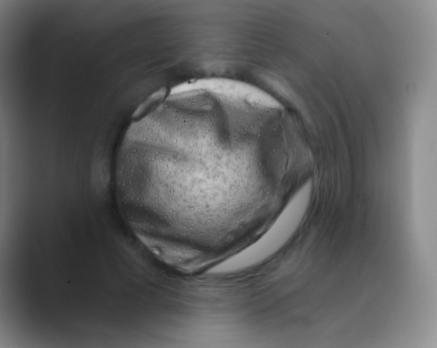 X0000088730593200706282125