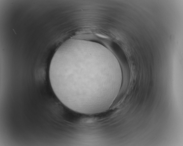 X0000088730595200706282125