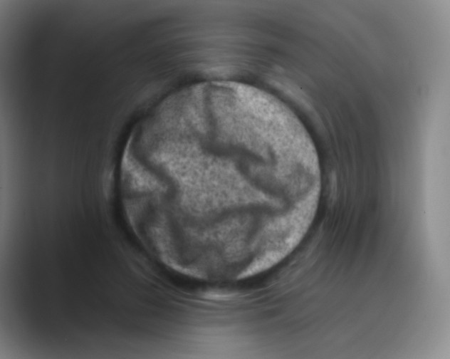 X0000088730596200706282125