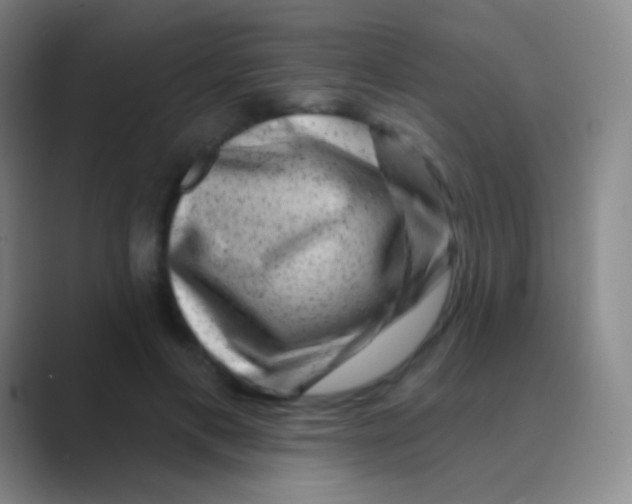 X0000088730597200706282125